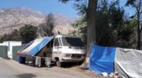 LA fire victims' home 'is STOLEN by squatters using DMV trick'