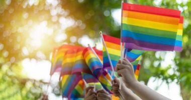 LGBTQ+ mental health hotline shuts down