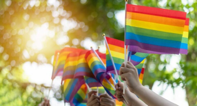 LGBTQ+ mental health hotline shuts down