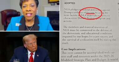 Largest US teachers union mocked for misspelling ‘fascism’ in anti-Trump agenda item