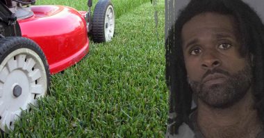 'Lawn guy' accused of throwing party at former client's home while they were on vacation: 'Epic failures'
