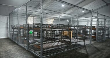 Lawsuit filed by legislators denied access to Alligator Alcatraz