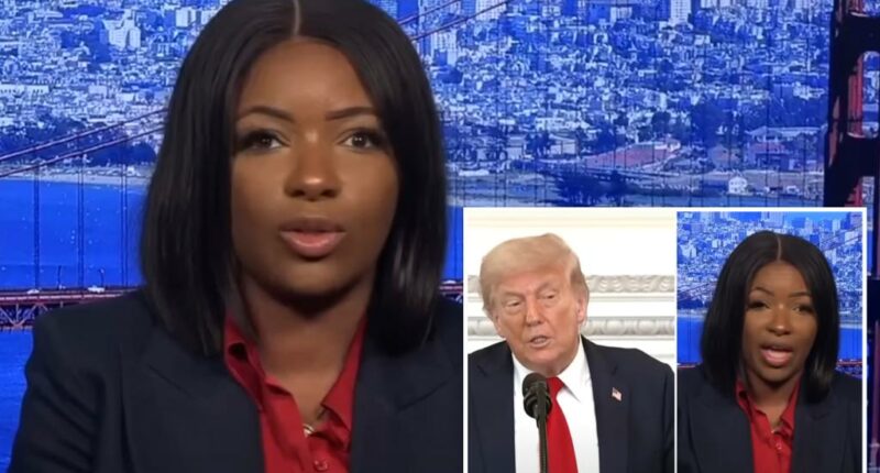 Lefty Rep. Jasmine Crockett dubs Trump a 'wannabe Hitler' over Epstein files drama