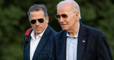 Live updates: Trump-Epstein saga enters third week; Hunter Biden forcefully defends his father