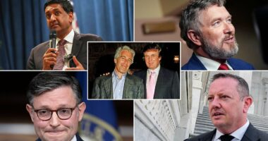 MAGA ally admits White House 'misstep' on Epstein files