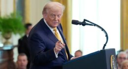 MAGA comes to Trump's defense on Epstein after WSJ turmoil