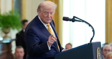 MAGA comes to Trump's defense on Epstein after WSJ turmoil