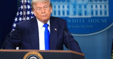 President Trump at a White House press conference.