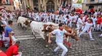 People running from bulls during the San Fermin festival in Pamplona, Spain.