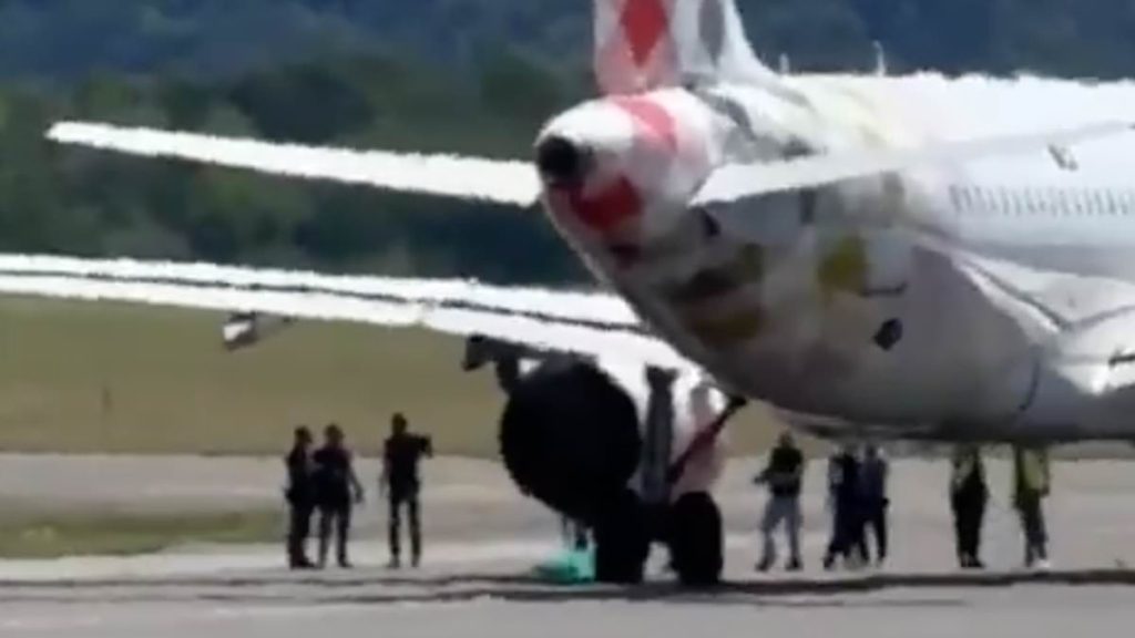 Man 'commits suicide' by 'throwing himself' into passenger jet engine