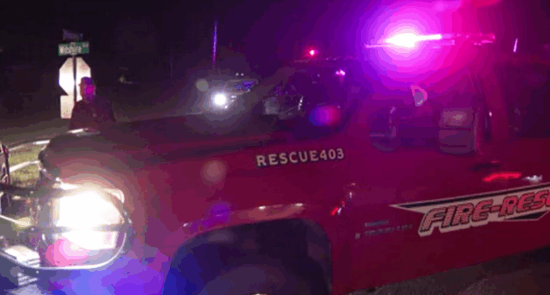 Man killed by two water buffalo he had just purchased