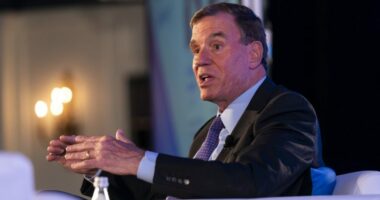 Mark Warner: Tulsi Gabbard 'not competent'