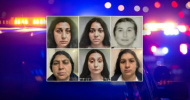 Massachusetts police arrest six women in alleged multi-state burglary gang, 3 taken into ICE custody