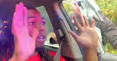 Mayor weighs into arrest of driver after cops smashed window