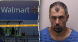 Michigan Walmart stabbing spree suspect identified as police seek terrorism, assault charges for rampage