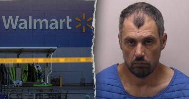 Michigan Walmart stabbing spree suspect identified as police seek terrorism, assault charges for rampage