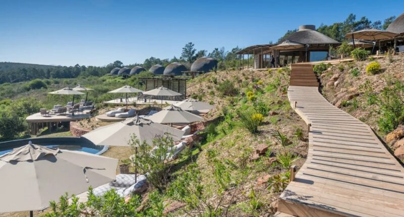 Gondwana Private Game Reserve resort with a wooden walkway and pool.
