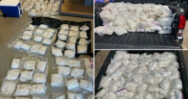 Minnesota 900 pound meth bust one of the largest in state history