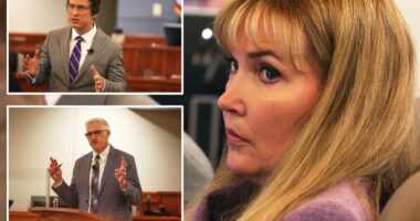 Minnesota state Sen. Nicole Mitchell convicted of felony burglary for breaking into estranged stepmother’s home
