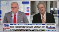 Moment 73-year-old Louisiana senator freezes during TV interview