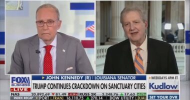 Moment 73-year-old Louisiana senator freezes during TV interview