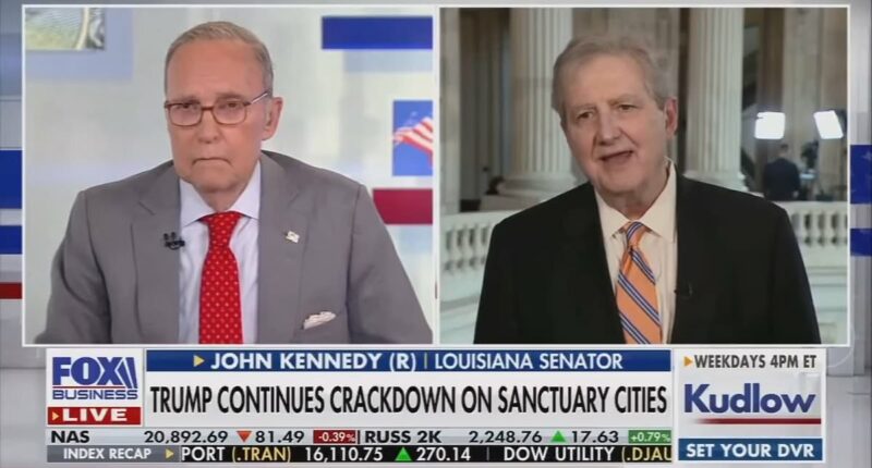 Moment 73-year-old Louisiana senator freezes during TV interview