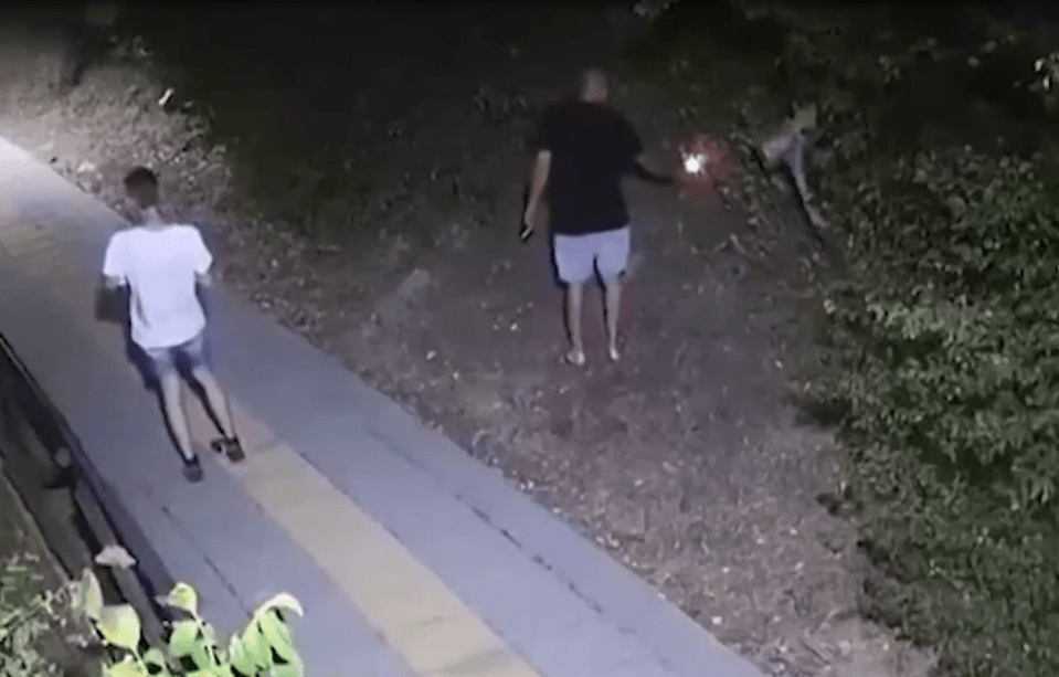 Two people at night, one holding a light, near a dog.