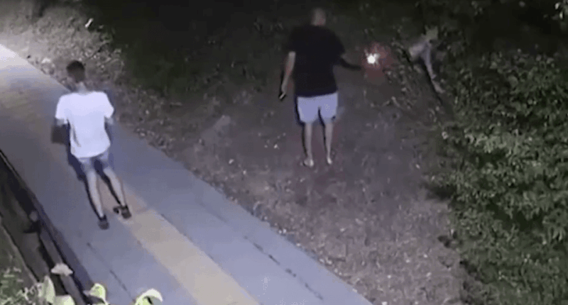 Two people at night, one holding a light, near a dog.