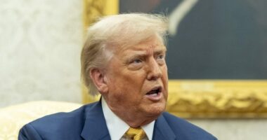 Most say Trump hasn't paid enough attention to key issues: Survey