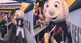 Mr. Met hilariously leans into his viral Lumineers concert fall