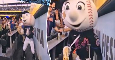 Mr. Met hilariously leans into his viral Lumineers concert fall