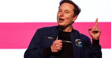 Musk announces formation of 'America Party'
