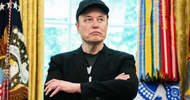 Musk demolishes Trump's claim that Democrats created Epstein 'hoax'