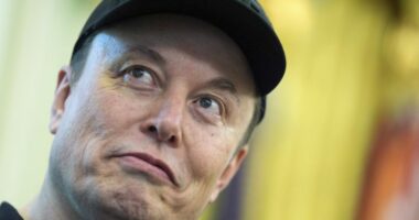 Musk’s third party push puts his companies at risk