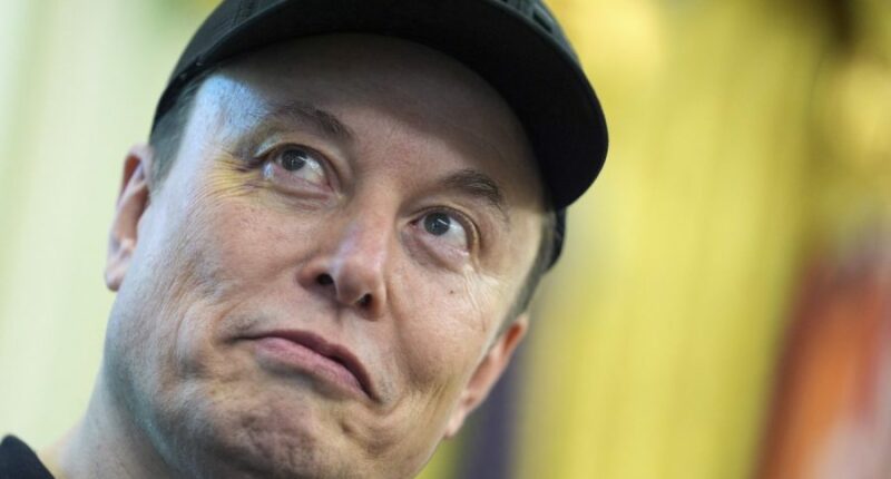 Musk’s third party push puts his companies at risk