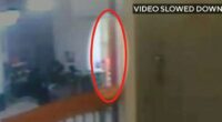 CCTV footage showing a blurry orange figure near Epstein's cell.
