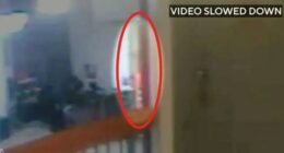 CCTV footage showing a blurry orange figure near Epstein's cell.