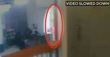 CCTV footage showing a blurry orange figure near Epstein's cell.