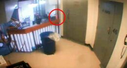 Mystery over orange blob seen on CCTV near Epstein's jail cell