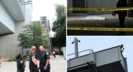 NYC museum visitor, 34, jumps to his death at the Whitney