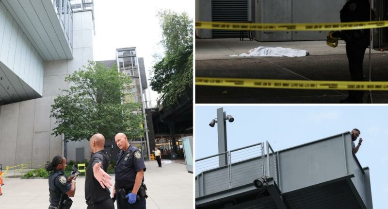 NYC museum visitor, 34, jumps to his death at the Whitney