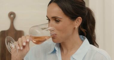'Nail in coffin' for Harry and Meghan's Netflix deal was her wine