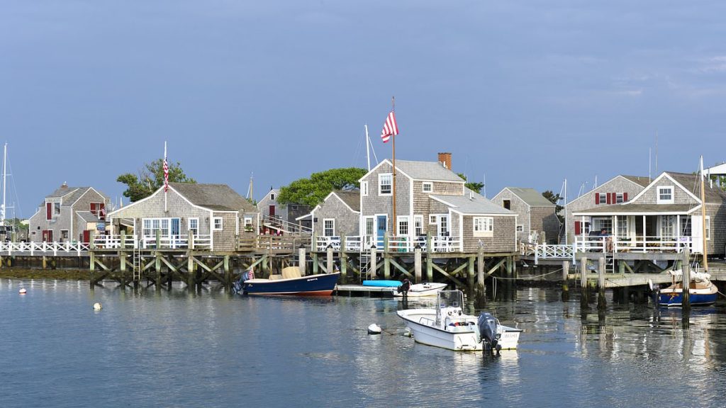 Nantucket property wars after man 'cuts down neighbor's trees'