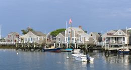 Nantucket property wars after man 'cuts down neighbor's trees'