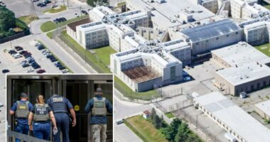 Nassau County jail has held more than 1,400 migrants in 5 months under partnership with ICE
