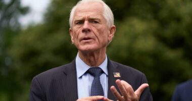 Navarro suggests Trump for Nobel Prize in economics