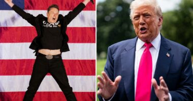 Nearly half of voters want third party — just not Musk's America Party: poll