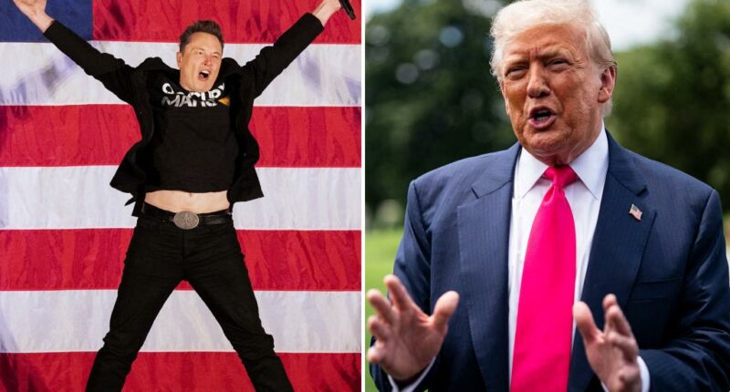 Nearly half of voters want third party — just not Musk's America Party: poll
