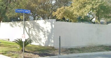 High, white fence on a residential street.