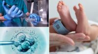 New IVF technique uses DNA from three people to prevent genetic diseases
